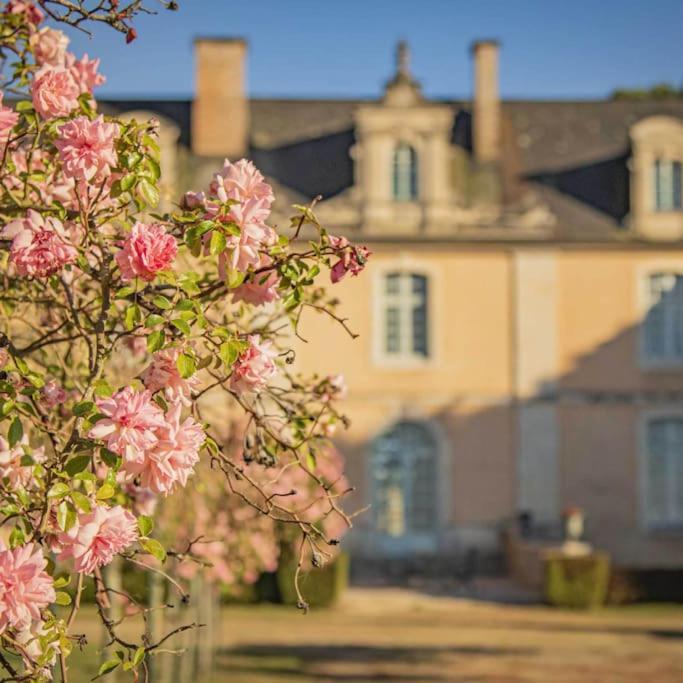 Chateau D'Ardenay Sur Merize Eksteriør bilde