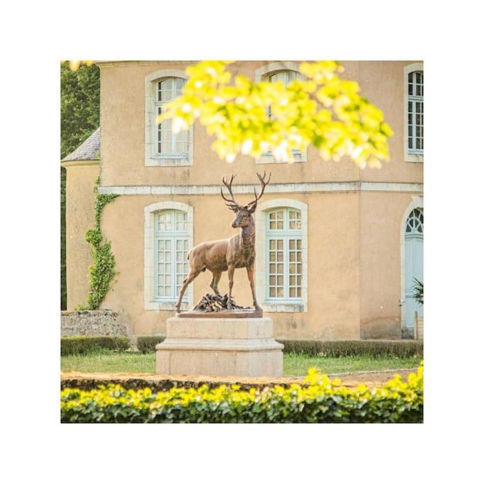 Chateau D'Ardenay Sur Merize Eksteriør bilde